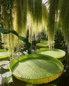 c6197a77763a9976d6bc79f127656218